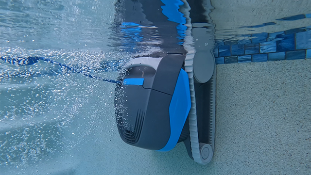 Dolphin Cayman Wall Climbing