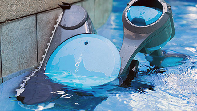 Dolphin Premier Waterline Cleaning