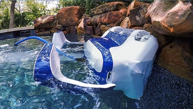 Dolphin Sigma Waterline Cleaning