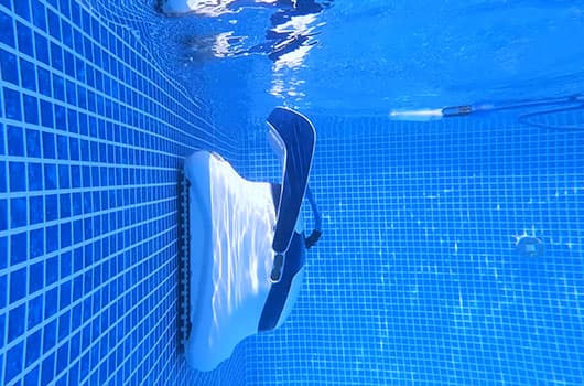 Dolphin Sigma Wall Climbing