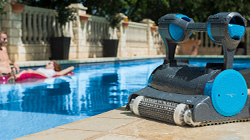 Which Dolphin Pool Cleaner is the Best?